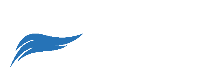 BlueRider.Software